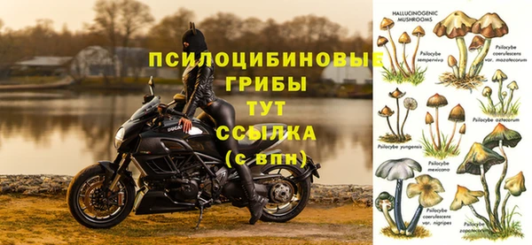 гидра Волосово